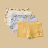 Pack of 5 - vehicle print trunks