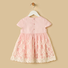 Embroidered mesh overlay dress