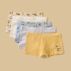 Pack of 5 - vehicle print trunks