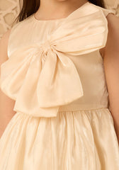 Shimmer textured bow applique sleeveless dress