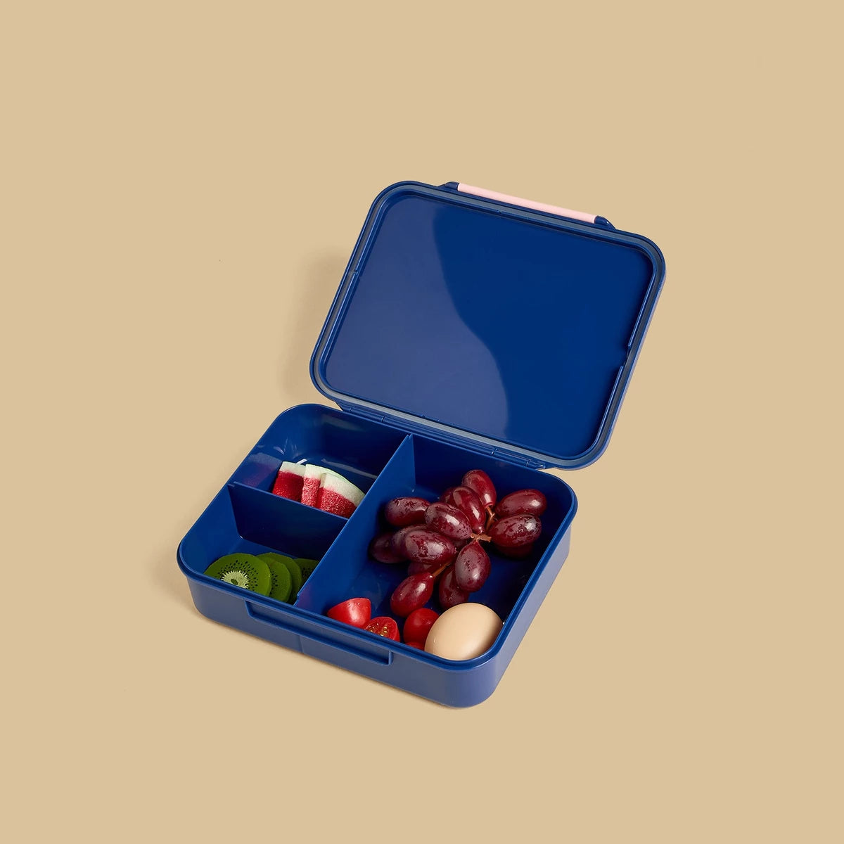 Stitch print sandwich box with clip lock lid