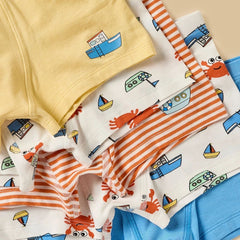Pack of 5- Assorted trunks