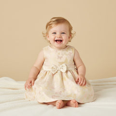 Butterfly Jackquard dress.