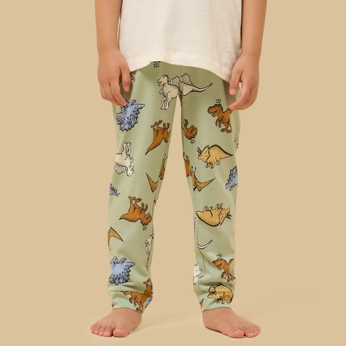 Dinosaur print cotton pajama set