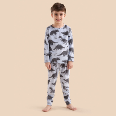 Dinosaur Print Cotton Pyjama Set